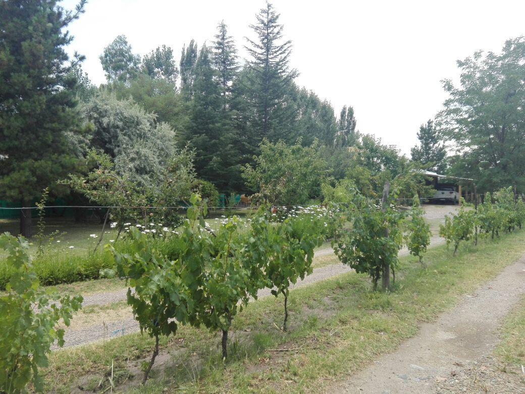 Casa Rural Entre Bodegas Y Vinedos ' El Jarillal" Guest House La Consulta Eksteriør bilde