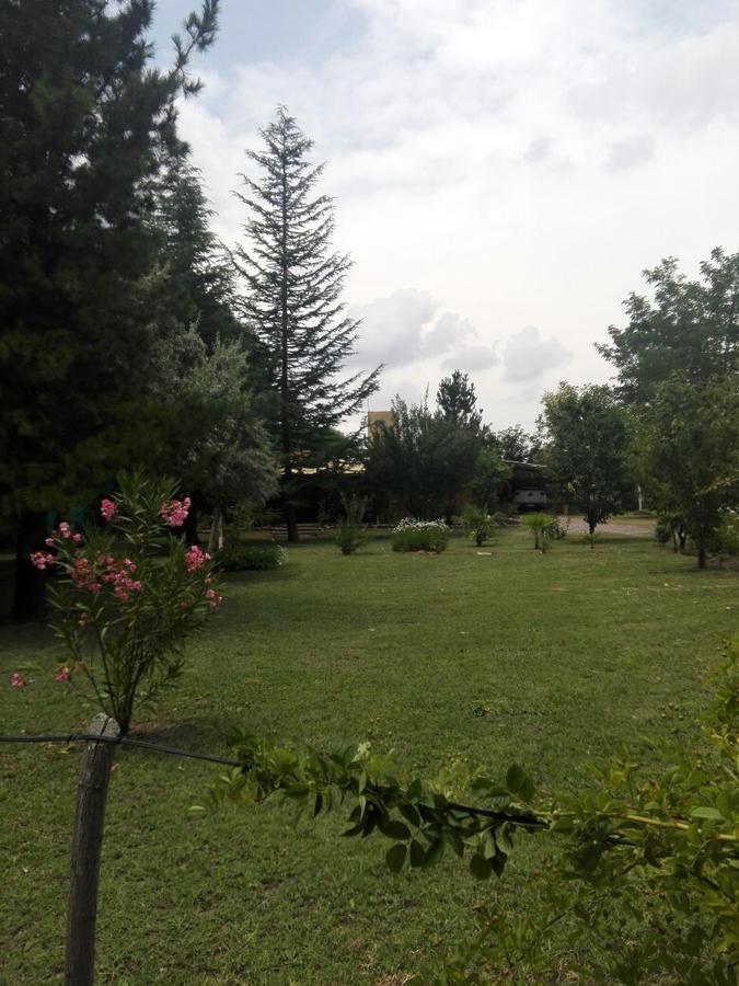 Casa Rural Entre Bodegas Y Vinedos ' El Jarillal" La Consulta Eksteriør bilde